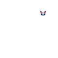 UNIONBORNE - Patriotic - Sticker
